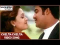 Download Lagu Cheliya Cheliya Video Song || Allari Ramudu || Jr.N.T.R, Aarti Agarwal, Gajala || Shalimar Songs