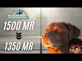 DONT Fall into The MASTER RANK TRAP 3 Tips to Get out of 1500 MR