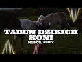 Download Lagu Tabun dzikich koni (Monciu Remix)