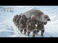 Download Lagu Incredible Hunt in -71°C | Heaviest Seal Ever Caught in Yakutia | Nomads Surviving