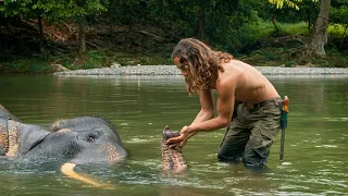 Saving Sumatra's Vanishing Wildlife