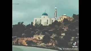 عشت جدع اناا عشت حزين  حالات واتس عصام صاصا  دندنها