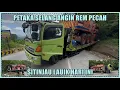 Download Lagu Petaka Selang Angin Rem Pecah di Sitinjau Lauik