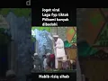 Download Lagu Habib joget viral lagu fyp tiktok pribumi banyak dibodohi #muhibin #robitohalawiyah