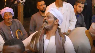 جديد الشيخ هاني البسيوني من مولد سيدي ابو النور ببني سويف 