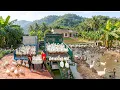 Lagu Transporting Many Ducks from Ly Phuc Vy's Farm to Market SELL | Đào Daily Farm