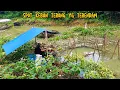 Lagu MANCING DI KEBUN WARGA YG TERENDAM AIR CIRATA | fishing \u0026 cooking