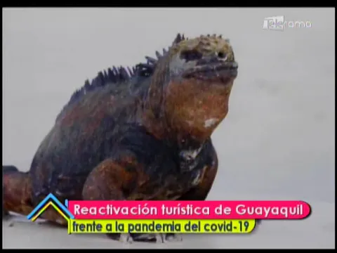 Reactivación turística de Guayaquil frente a la pandemia del covid 19