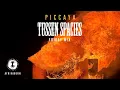 Download Lagu Live @ Tussen Spacies  // AfrikaBurn 2025