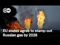 'We cannot let ourselves be blackmailed by Russia,' EU Energy Chief on Russia gas imports | DW News