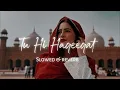 Tu Hi Haqeeqat Lo-fi [slow reverb] |Emraan Hashmi, Soha Ali Khan| Abbas Arzoo