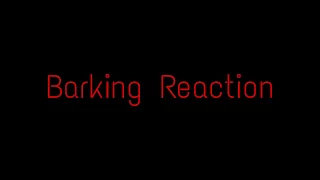 Download Barking Ramz Reaction MP3