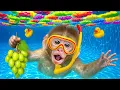 Download Lagu KIKI Monkey Swimming and Take care of monkey with Ducklings in a Pool of Grapes | KUDO ANIMAL KIKI