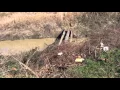 West Memphis Child Murders Crime Scene