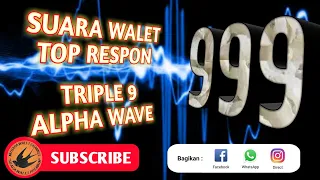 Download SUARA PANGGIL WALET TOP RESPON - Triple 9 alpha wave MP3