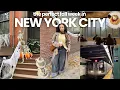 Lagu vlog: de perfecte herfstweek in New York City 🍂🚕🍎🗽 | Central Park, seizoensgebonden drankjes, win...