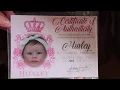 Huxley by Andrea Arcello - Kit Box Opening and Review