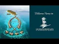 Welcome Home to Lily Beach Resort Spa Maldives
