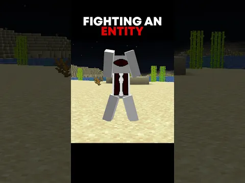 FIGHTING AN ENTITY