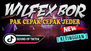 Download DJ PAK CEPAK CEPAK JEDER !! WILFEX BOR KETINGGIAN ( JUNGLE DUTCH TIKTOK TERBARU 2021 ) MP3