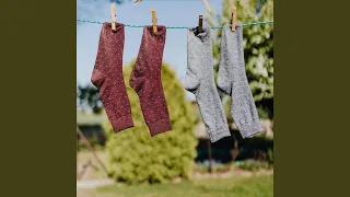 نسم علينا الهوى فيروز 