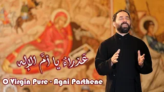 عذراء يا أم  الإله   الأب بيتر حنا                             دندنها