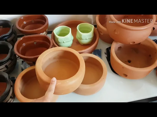 COMPRAS PRO JARDIM/ VASOS PARA SUCULENTAS E ORQUÍDEAS