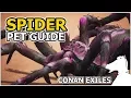 SPIDER Pets Guide CONAN EXILES