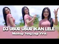Download Lagu DJ UBUR UBUR IKAN LELE MASHUP  YANG LAGI VIRAL