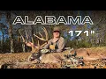 171 Alabama HAMMER DC Tabscott s Deer of a Lifetime Big Buck Blueprint