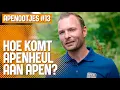 Download Lagu Apenootjes #13: Waar komen de apen in Apenheul vandaan? 🌍