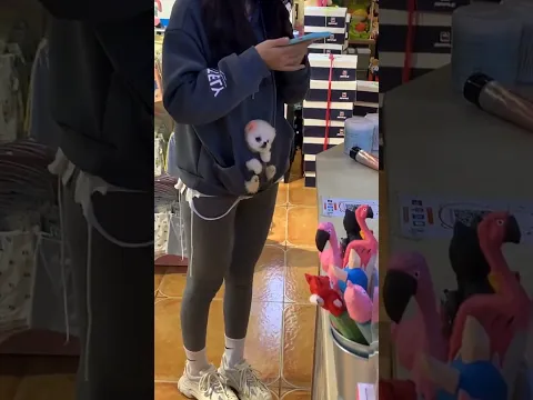 Dog: Do I have to wait in line too? #chinesetoyfactory #cutedog #cute