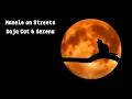 Download Lagu Doja Cat \u0026 Serena | Manele on Streets | Romanian Remix | Sped Up | 1 hour