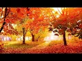 Download Lagu Autumn in New England, Peaceful Beautiful Soothing Instrumental Music, by Tim Janis