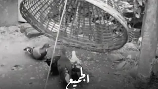 حالات واتساب هناك من يضحي لك وهناك من يضحي بك 