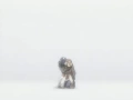 Download Lagu Clannad OST- Snowfield
