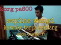 Download Lagu Sepine wengi karaoke tanpa kendang korg pa600