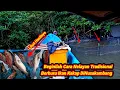 Download Lagu Rejeki Nomplok!! Pasang Perangkap Ikan Kakap di Sungai Pedalaman Nusakambangan Cilacap