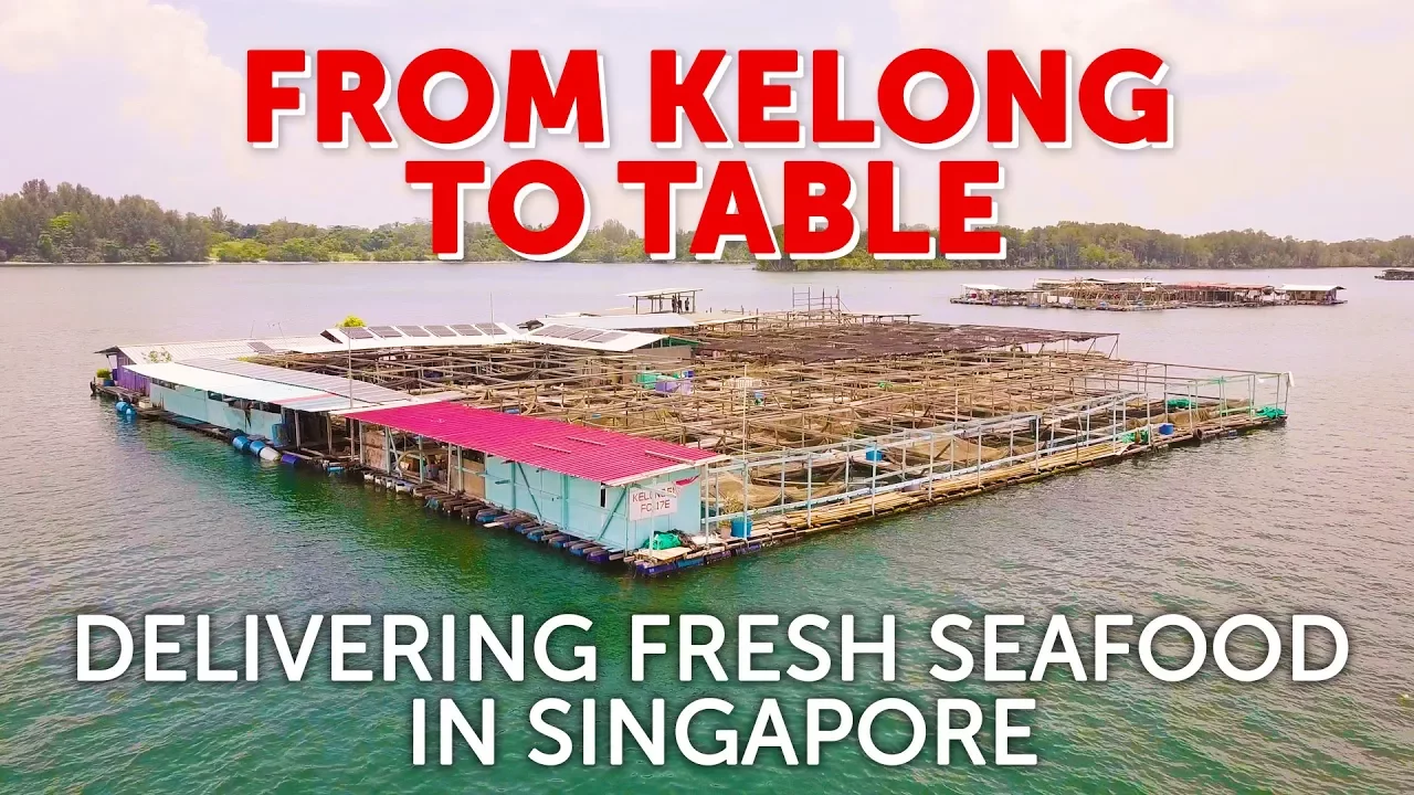 From Kelong To Table: Delivering Fresh Seafood in Singapore