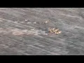 Montana FWP field trip Aerial antelope surveys
