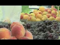 That s special that s rare A look into ABQ Downtown Growers Market amid 30 year celebration
