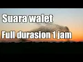 Download Lagu Suara walet  terheboh 1 jam full version