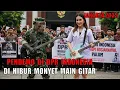 Download Lagu Viral Monyet Main Gitar di Tengah Tengah Demo Kantor DPR Indonesia Terbaru | Live DEMO hARI iNI