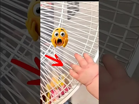 What Kind of Gadget Is This? 🥴