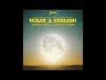 NEEKA with VARGEN, KIDDO & Manovski - What A Feeling (Official Audio)