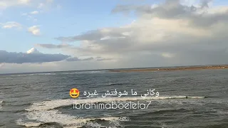 ببتدي من الزيرو عمرو دياب دندنها