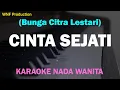Download Lagu (Karaoke) Bunga Citra Lestari - Cinta Sejati \