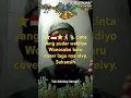 Download Lagu ⭐🇮🇩⭐🕺🏼cinta yang pudar waldiyo cover 🦜