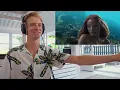 Producer Reacts to The Little Mermaid - "Under The Sea", "Part of Your World", & "The Scuttlebutt"