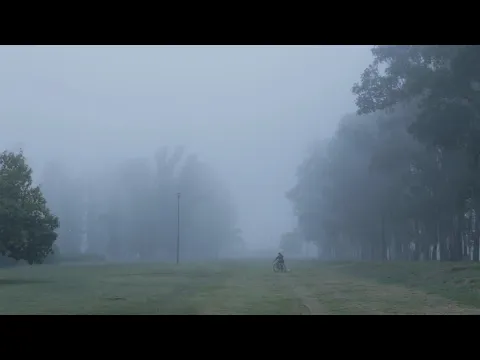 TRAILER TRAS UN MANTO DE NEBLINAS
